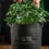 RQS Geotextile Fabric Pot