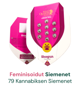 feminisoidut-kannabiksen-siemenet