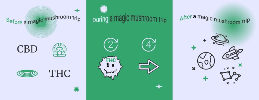How to Use Cannabis and Magic Mushrooms Together How to Use Cannabis and Magic Mushrooms Together