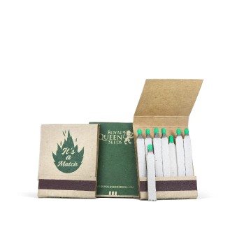 Free feminized cannabis seeds with your order Free feminized cannabis seeds with your order