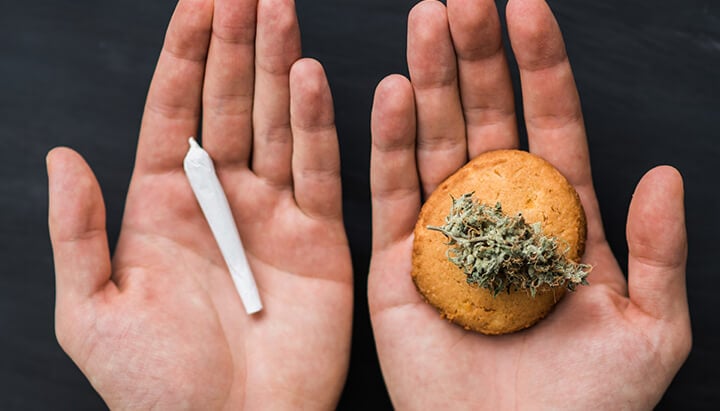 ¿Por qué mi marihuana crece demasiado alta y flacucha? ¿Por qué mi marihuana crece demasiado alta y flacucha?
