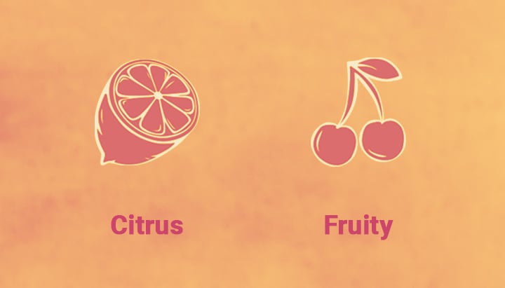 Clementine Taste Clementine Taste