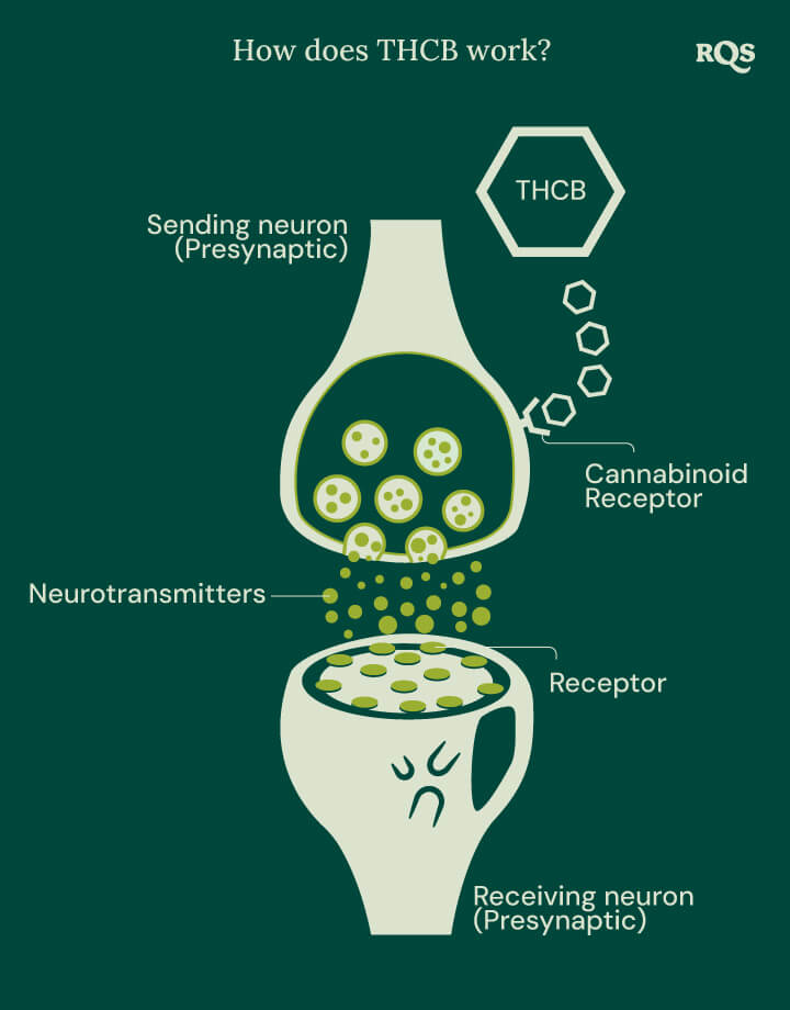 How does THCB work How does THCB work