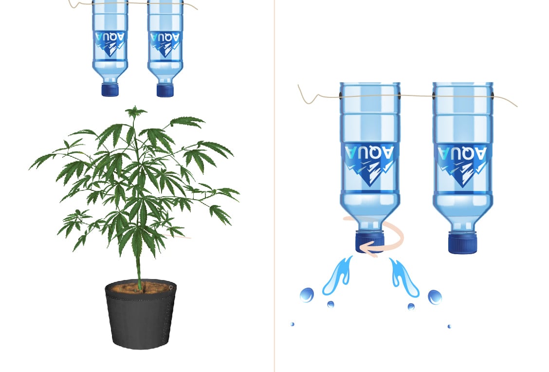 Building Your Own DIY Drip Irrigation System for Growing Cannabis Building Your Own DIY Drip Irrigation System for Growing Cannabis