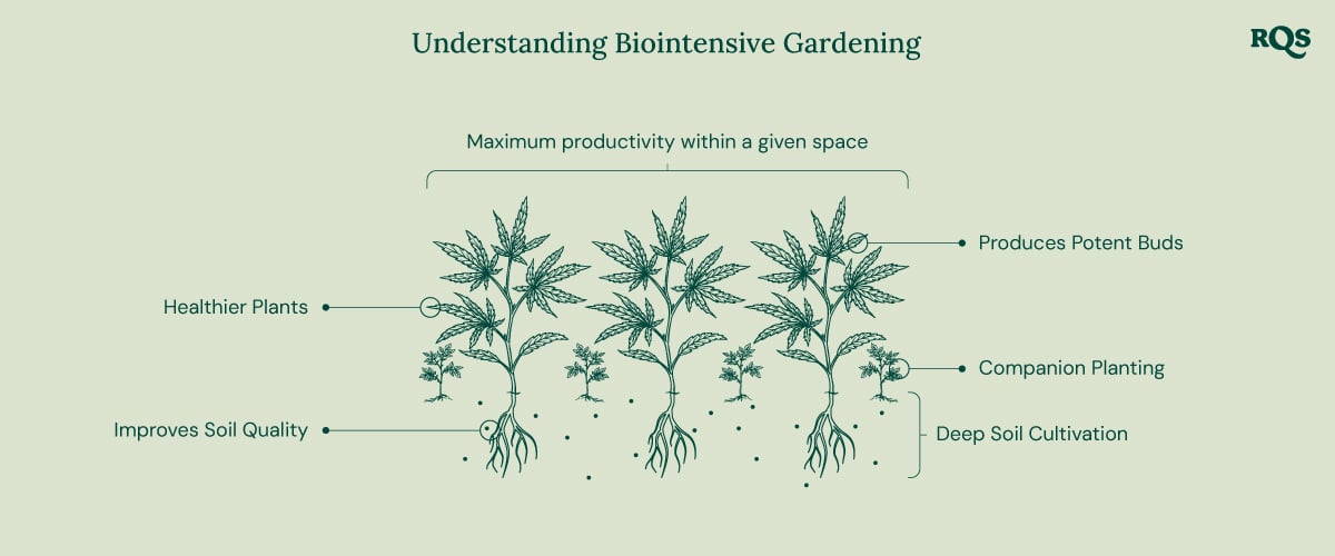 Biointensive Gardening Principles Illustration of biointensive gardening, showing maximum productivity, healthier plants, potent buds, companion planting, deep soil cultivation, and improved soil quality.
