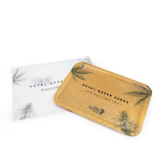 Free feminized cannabis seeds with your order Free feminized cannabis seeds with your order