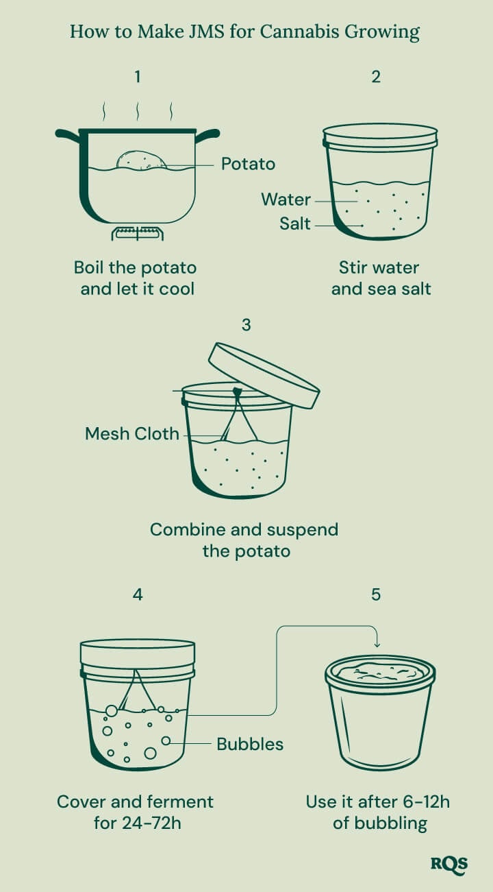 Step by step A step-by-step guide on how to make a potato-based fertilizer for cannabis plants.