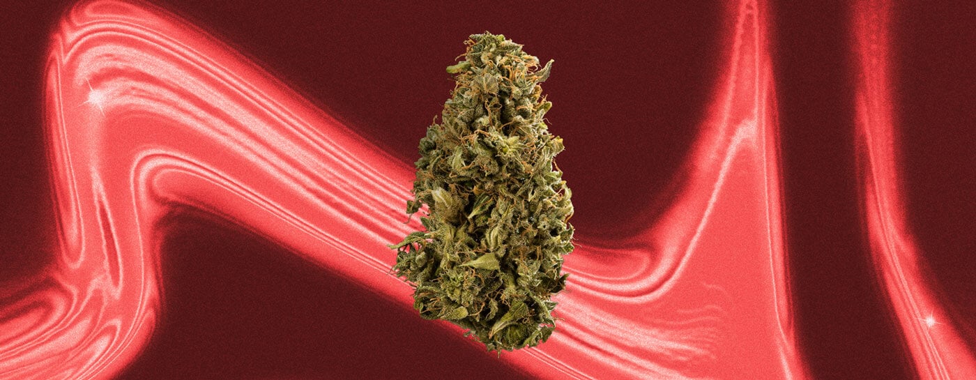 Cherry Pie Cannabis Strain Cherry Pie Cannabis Strain