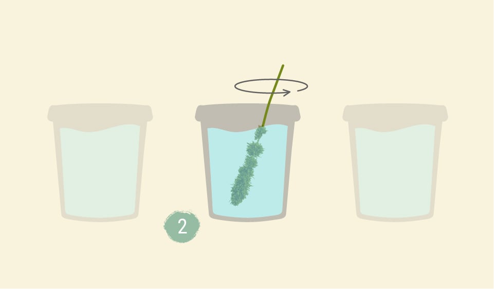 How to Wash Your Buds How to Wash Your Buds