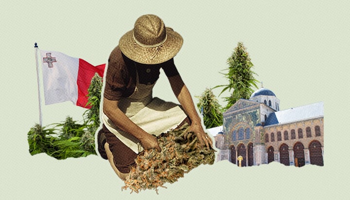 Cannabis Hysteria Cannabis Hysteria